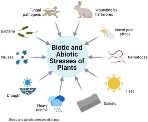 Frontiers Smart Breeding Approaches In Post Genomics Era For