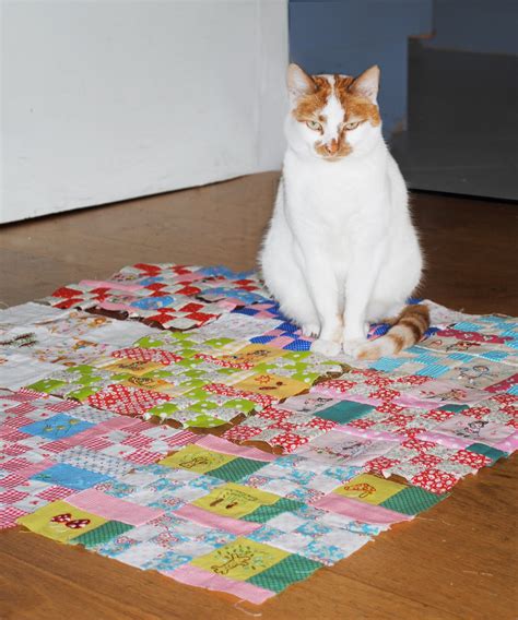 Cats Quilts Cats On My Quilt