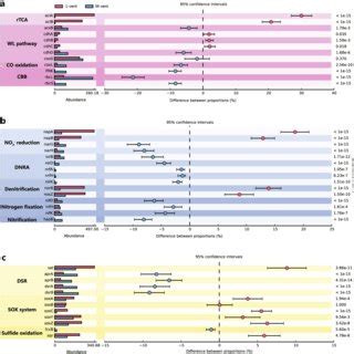 Abundance Comparison Of Key Genes Involved In Carbon Nitrogen And