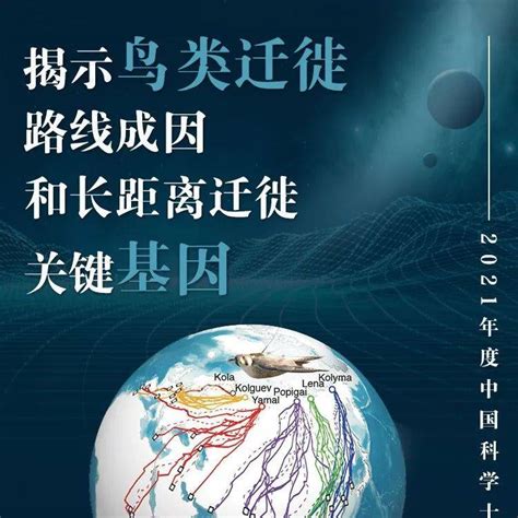 2021年度中国科学十大进展揭晓！发展中心火星探测杨子雄