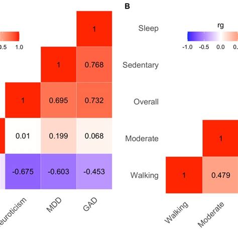 Heatmap Of Bivariate Genetic Correlations Pairwise Genetic