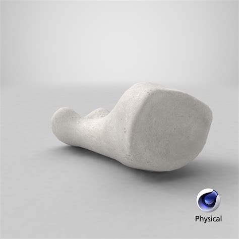 Proximal Phalanx Bone Big 3D Model - TurboSquid 1563651