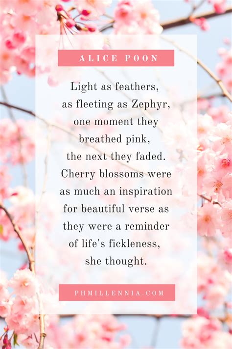 Beautiful Brilliant Quotes About Cherry Blossoms Sakura Quotes