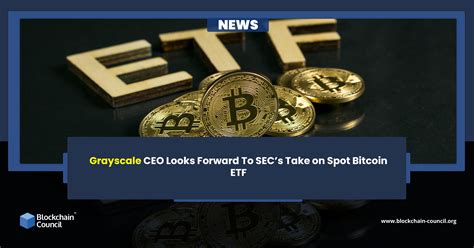 Grayscale Ceo Looks Forward To Secs Take On Spot Bitcoin Etf