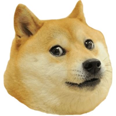 Doge Blank Template - Imgflip