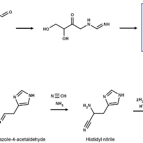 Structure of imidazole and imidazole-derivatives with atom numbering ...