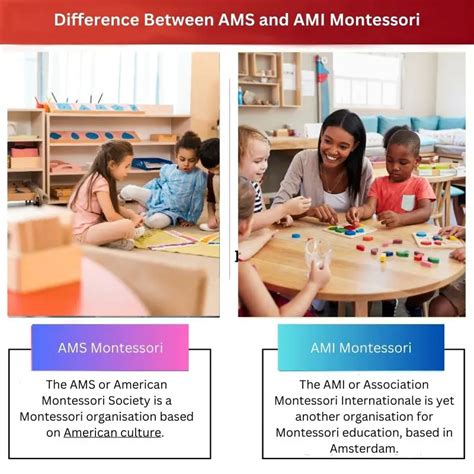 Ams Protiv Ami Montessori Razlika I Usporedba