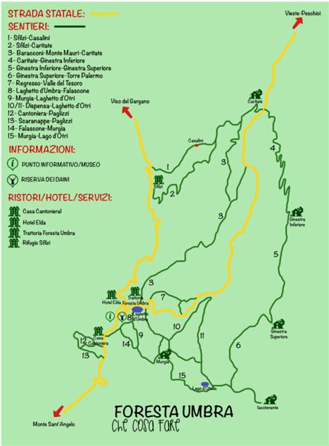 Cosa Fare In Foresta Umbra Firstep I Viaggi Di Sara E Michele