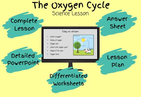 The Oxygen Cycle Science Lesson Teaching Resources