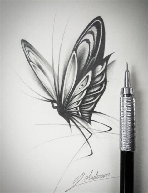 Butterfly Sketch Butterfly Art Drawing Butterfly Sketch Butterfly