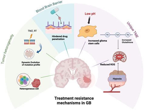 Frontiers | Challenges and advances in glioblastoma targeted therapy