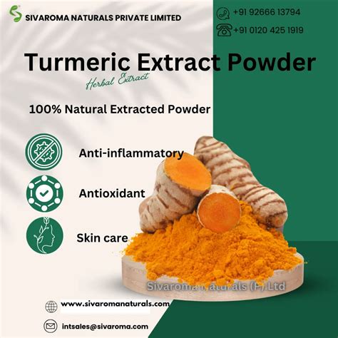 Turmeric Extract Powder At Rs Kg Turmeric Extract In Noida Id