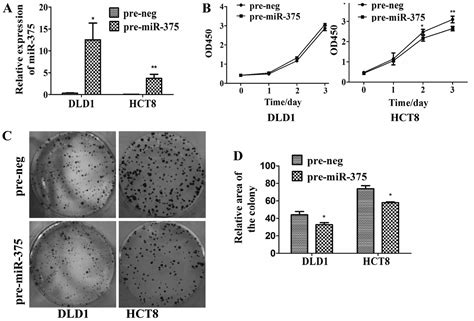 Mir 375 Inhibits The Invasion And Metastasis Of Colorectal Cancer Via Targeting Sp1 And