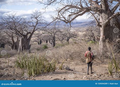 Hadzabe Hombre Con Su Arco Y Flecha En Un Paisaje Lleno De Antiguos