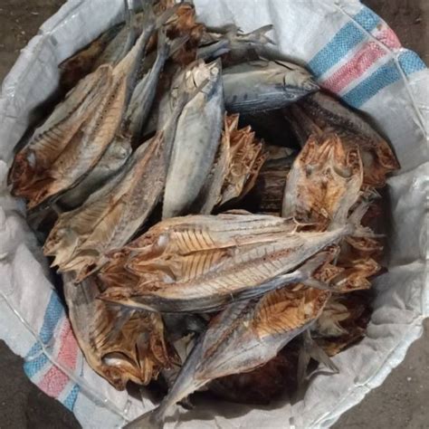 Jual Ikan Asin Belah Khas Sibolga Indonesiashopee Indonesia