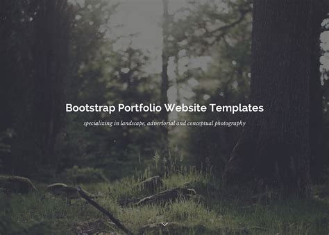 20 Best Bootstrap Portfolio Templates 2025 - Colorlib