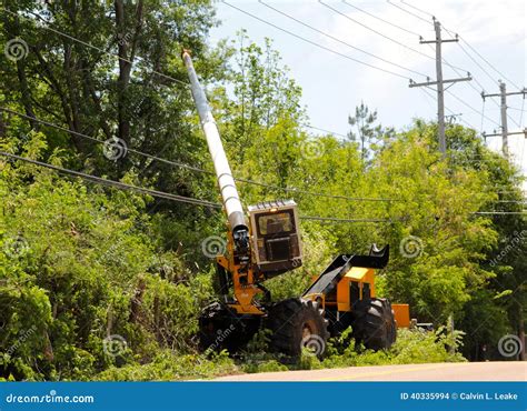 A Tree Cutting Machine Prunes Tree Along The Street Stock Photo Image