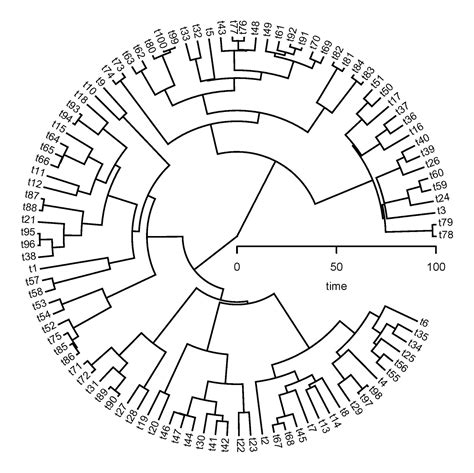 Phylogenetic Tools For Comparative Biology July 2013