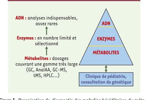 Figure 1 from Maladies héréditaires du métabolisme et apports de la