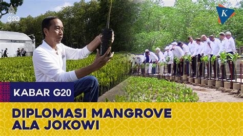 Berita Harian Jokowi Ajak Kepala Negara Tanam Benih Mangrove Terbaru