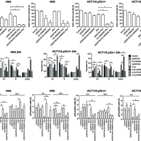 DNA PK Inhibition And ATR Inhibition Modulate DNA Damage Response