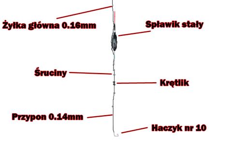 Stan Ako Mo E Christchurch Przygotowanie Wedki Na Splawik Logika