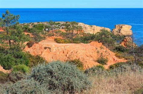 Premium Photo Summer Evening Atlantic Limestony Coast View Near Beach