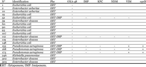 Genotypic features of the 19 imipenem and/or Ertapenem resistant in ... 