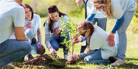 ¿qué Es Un Voluntariado Y Cuáles Son Los Tipos Que Existen