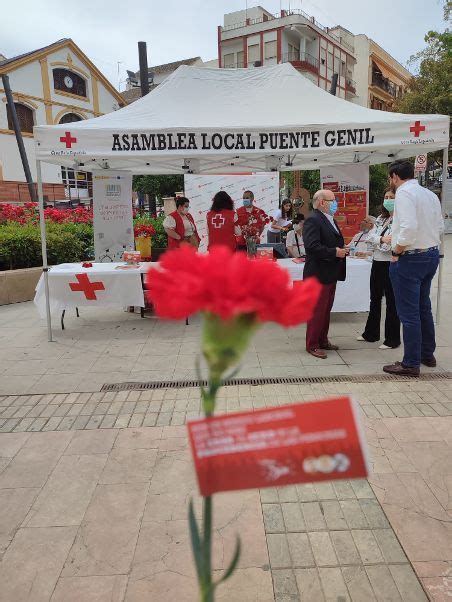 Cruz Roja Repartir Claveles En Puente Genil Para Reivindicar La