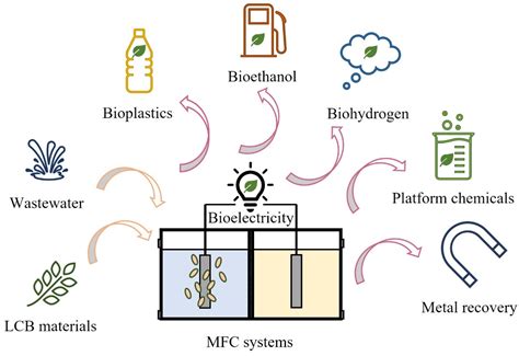 Biotech Free Full Text A Review Of Recent Advances In Microbial