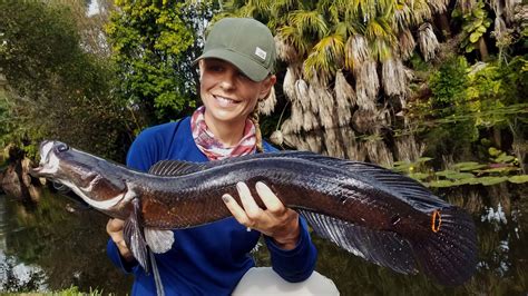 How The Snakehead Earned A Spot On Freshwater Bucket Lists Shefishes2