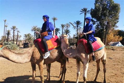 Marrakech: Camel Ride in the Oasis Palmeraie | GetYourGuide