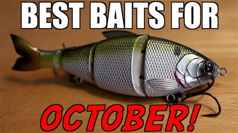 Top 3 BAITS For OCTOBER Bass Fishing YouTube