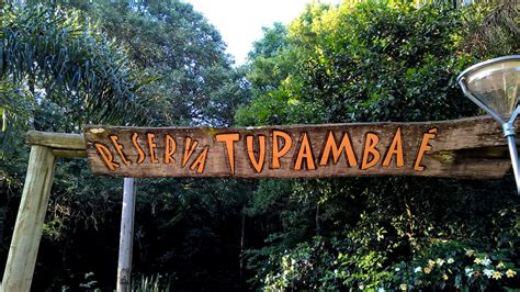 Ap Stoles Ofrece Caminatas Recreativas En La Reserva Tupamba Canal