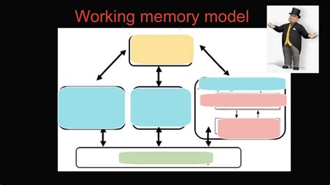 Working Memory Model Psychologyrocks