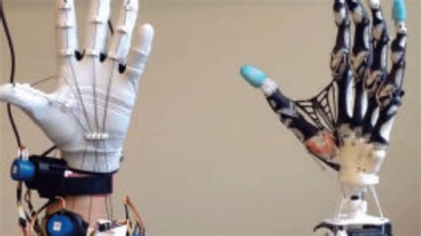 Researchers 3D Print Bones To Make An Astonishingly Accurate Robotic