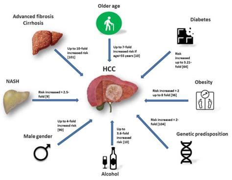 Cancers Free Full Text Surveillance For Hepatocellular Carcinoma In