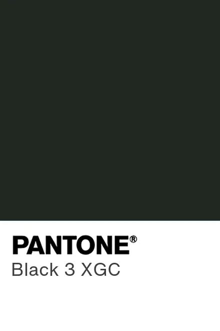 PANTONE® USA PANTONE® Black C Find A Pantone Color Quick, 43% OFF