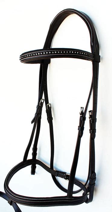 English Jumping Bridle