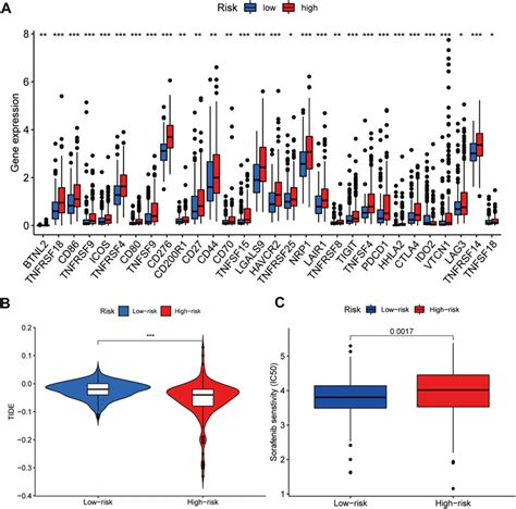 Frontiers Construction And Validation Of A Ferroptosis Related LncRNA