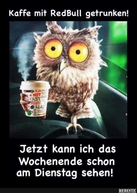 Kaffee Mit Redbull Getrunken Lustige Bilder Spr Che Witze Echt