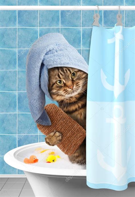 Funny cat taking a bath. — Stock Photo © funny_cats #80420740