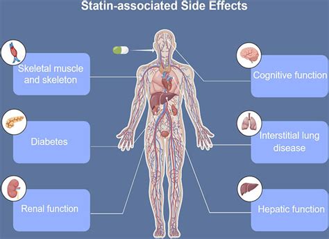 Reviews On Statin Associated Side Effects Intechopen