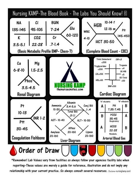 Fishbone Diagram Medical