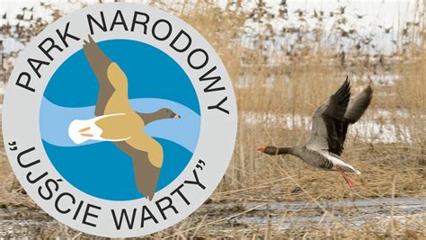 Park Narodowy Ujście Warty zmienia swoje logo Będzie na nim inny