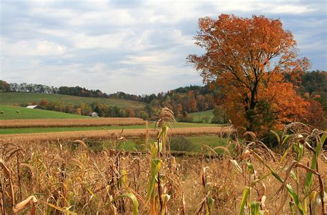 Autumn Fields In Pennsylvania By Geno Rugh Redbubble