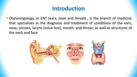 Ent Pharmacology Ppt