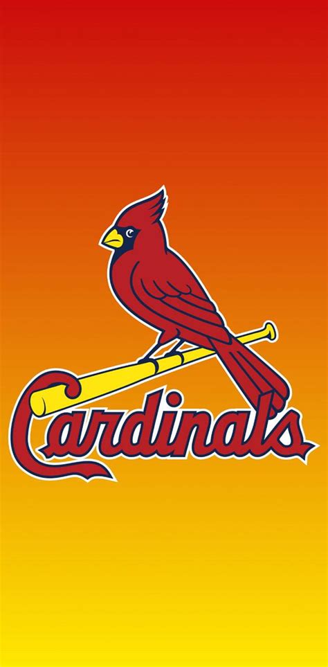 St Louis Cardinals Stl Cardinals Hd Phone Wallpaper Pxfuel