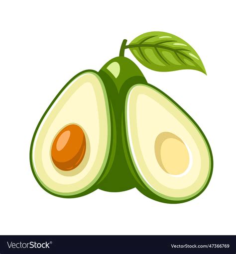 Green Avocado Icon Isolated On White Background Vector Image